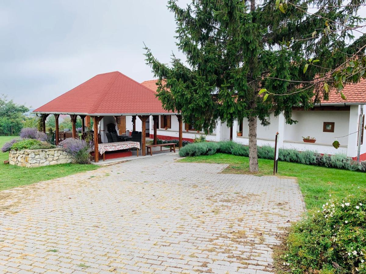 Katica Vendégház Tarcal Exteriér fotografie